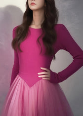 Modern Rose Silm Fit Patchwork Tulle Maxi Dresses Spring 3