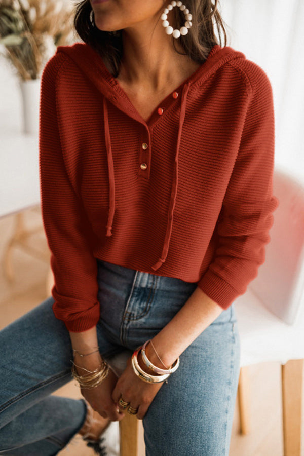 Button Neck Knit Hoodie