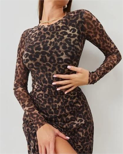 Leopard Print Mesh Long Sleeve Crew Neck Midi Dress 2