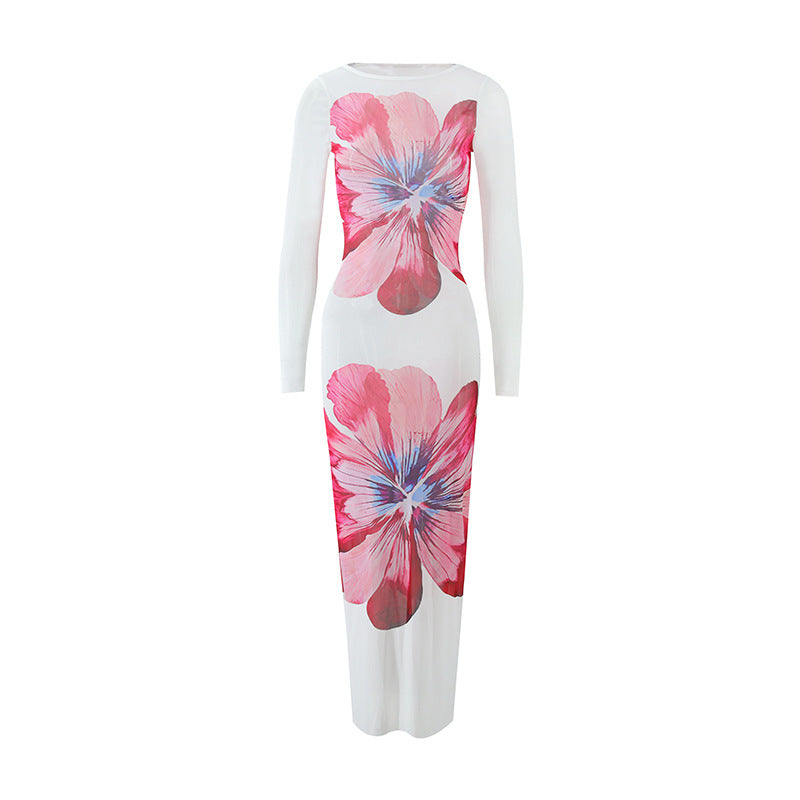 Floral Print Sheer Mesh Round Neck Long Sleeve Bodycon Maxi Dress 2