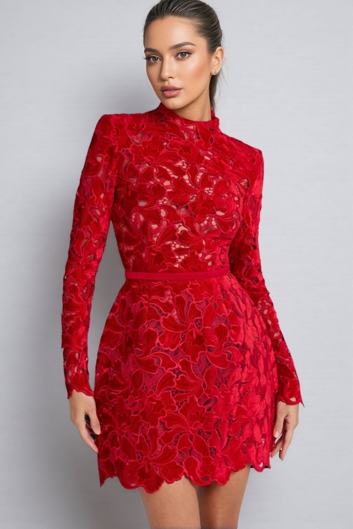 Mock Neck Long Sleeve Floral Cutwork Lace Scalloped Hem Mini Dress