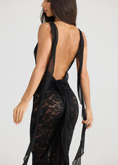 Verona - Sheer Lace Backless Maxi Dress 5