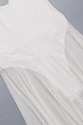 Julie Plunge Neck Semi-sheer Mesh Maxi Dress 7