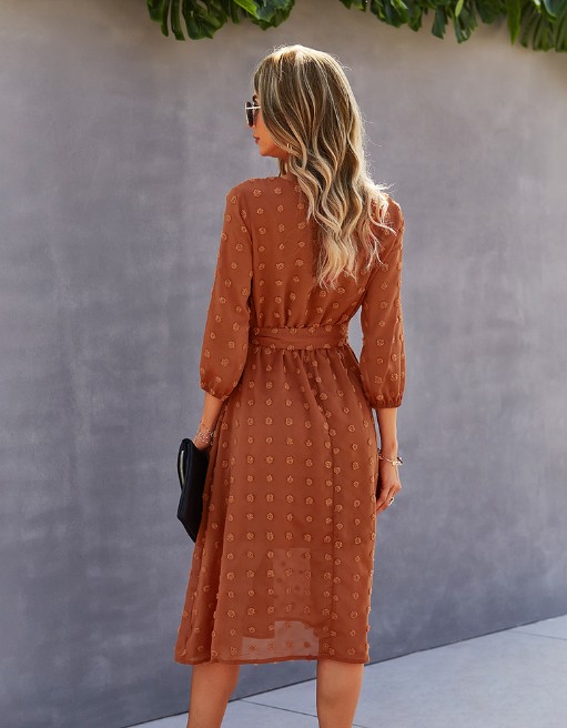 Swiss Dot V-Neck Button Front Belted Three Quarter Sleeve Midi Dress 14