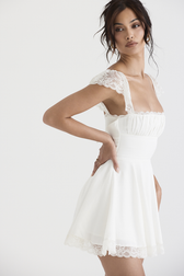 Lace A-Line Mini Dress - View 4