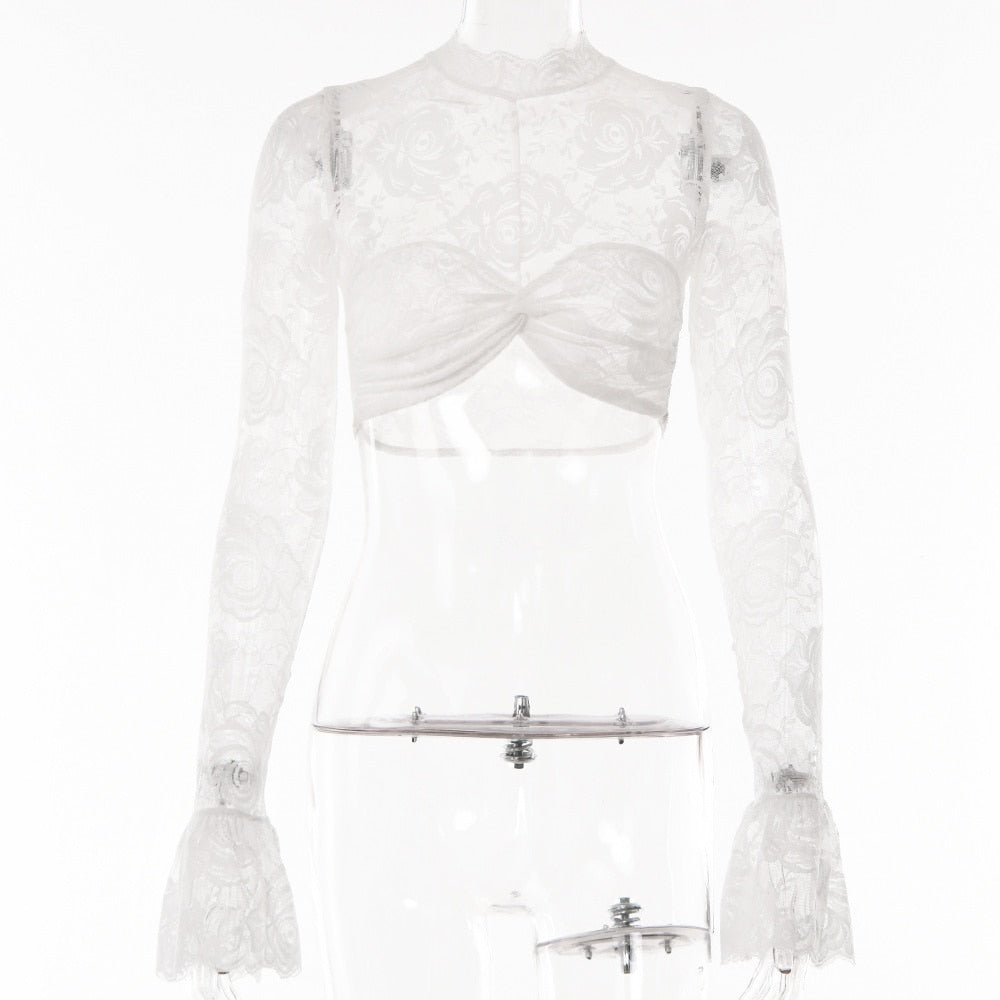 Lace Sheer Mesh Crop Top