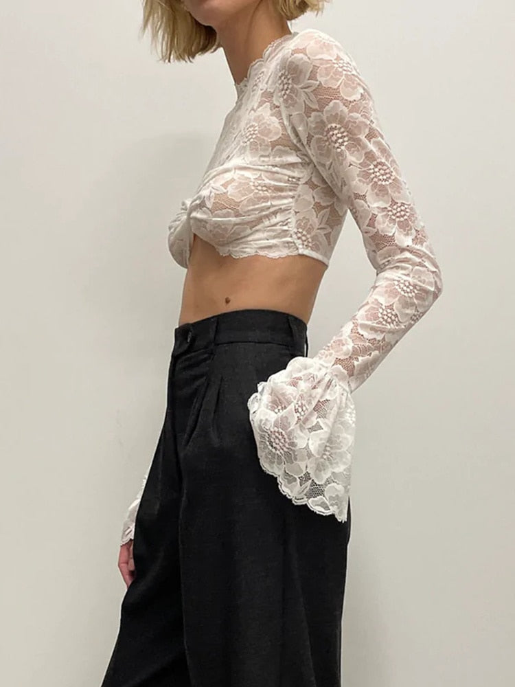 Lace Sheer Mesh Crop Top
