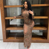 Club Bodycon See Through Long Dress