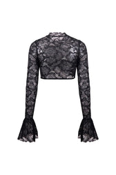 Lace Sheer Mesh Crop Top