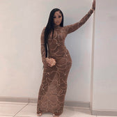 Club Bodycon See Through Long Dress
