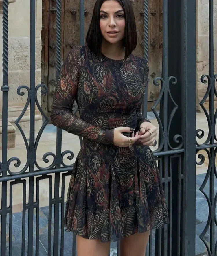 Paisley Print Mesh Crew Neck Long Sleeve Pleated Mini Dress 2