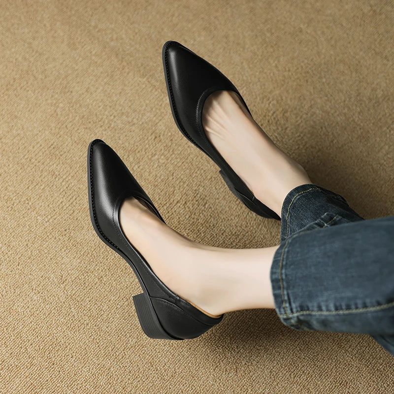 Pointed Toe Slip On Block Heel Pumps