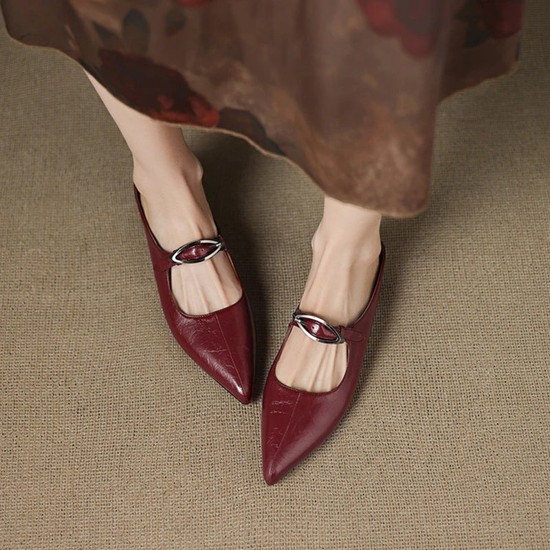 Pointed Toe Buckle Strap Low Heel Mary Jane Pumps