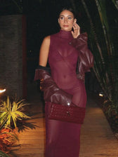 Mesh Sheer Stand Collar Maxi Dress 2