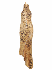 Leopard Print High Neck Backless Maxi Dress 5