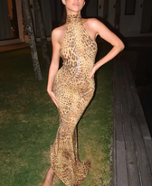 Leopard Print High Neck Backless Maxi Dress
