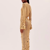 Crochet Deep V-Neck Bell Sleeve Sequin Maxi Dress 4