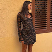 Lace Mini Dress