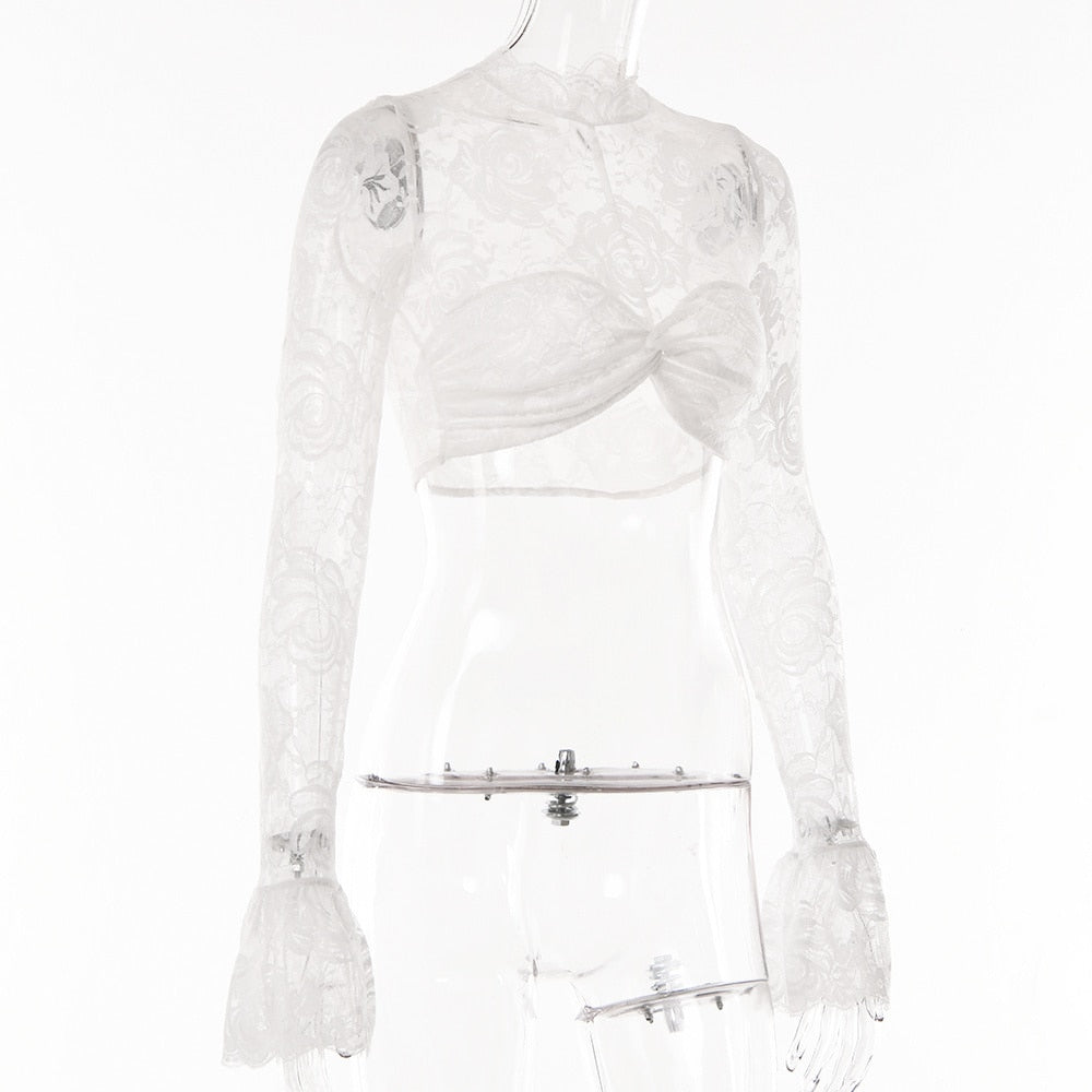 Lace Sheer Mesh Crop Top