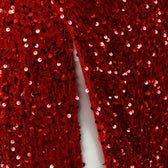 Sequin Dress