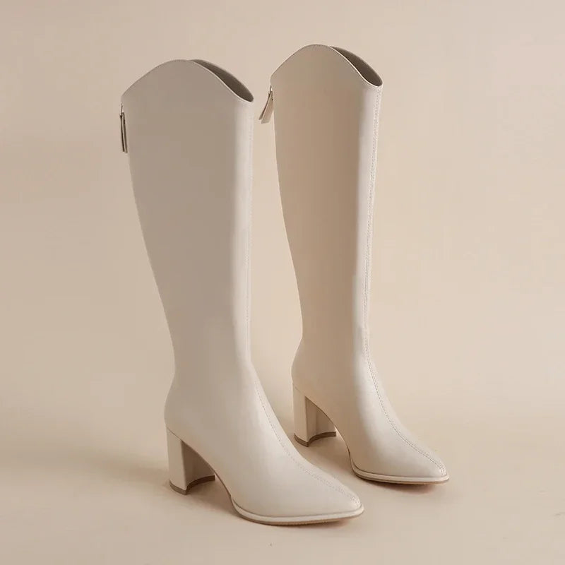 Pointed Toe Block Heel Knee High Boots