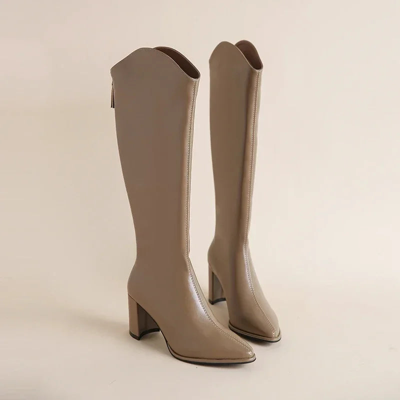 Pointed Toe Block Heel Knee High Boots