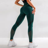 High Waist Sportswear Fitness Legging Green / S