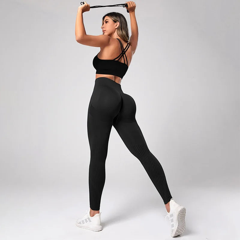 Seamless Knitted Yoga Gym Sport Legging Black / S