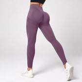 Seamless Knitted Yoga Gym Sport Legging Purple / S