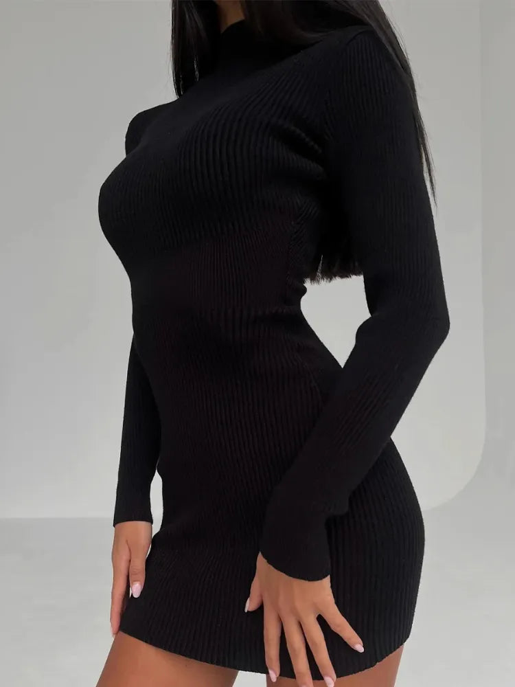 Ribbed Knit Turtleneck Long Sleeve Bodycon Maxi Dress