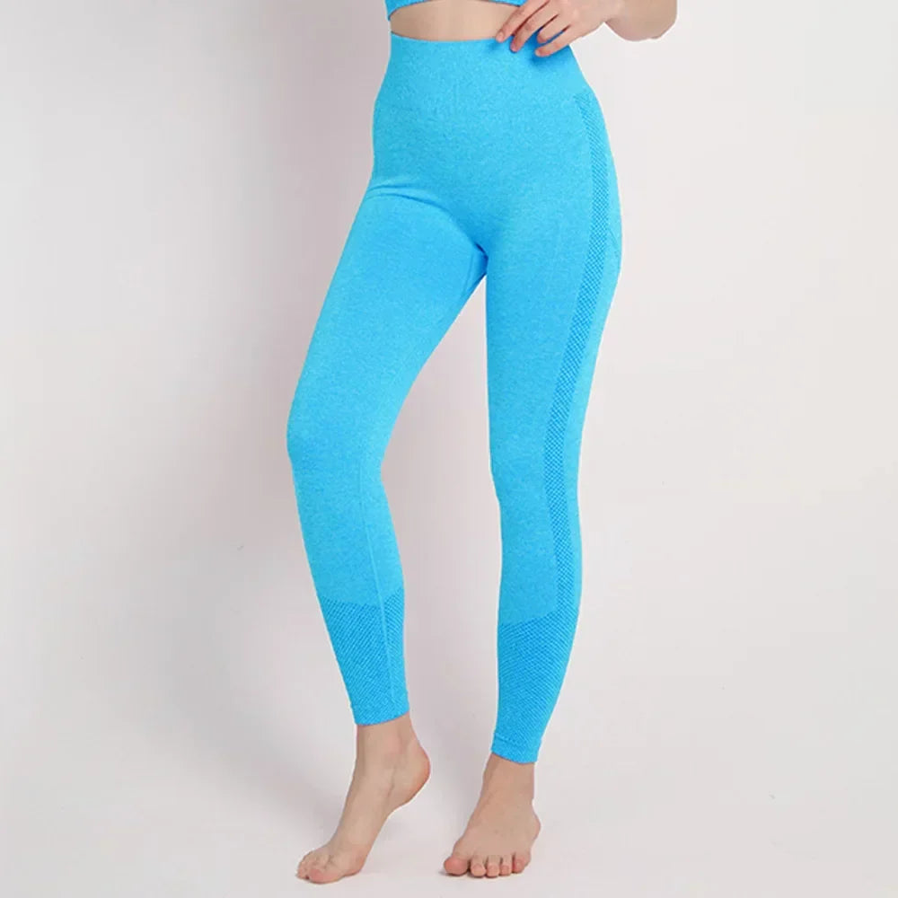 Seamless Workout Legging Lake Blue / S