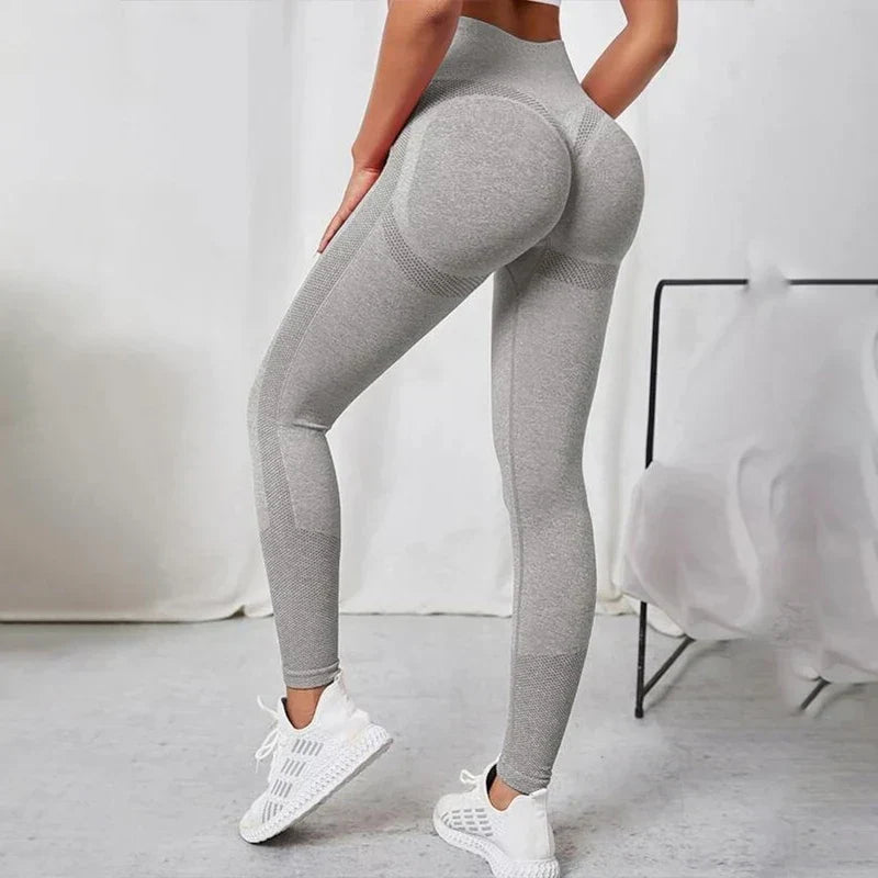 Seamless Workout Legging Gray / S