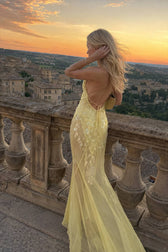 Sequin Mermaid V Neck Maxi Dress