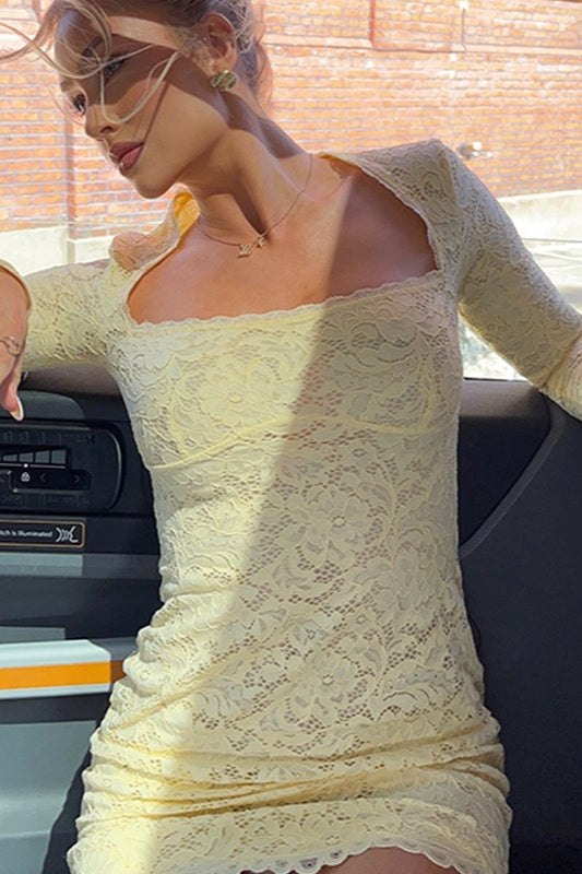 Lace Cami Panel Bodycon Mini Lace Dress