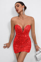 Bodycon Sequin Dress
