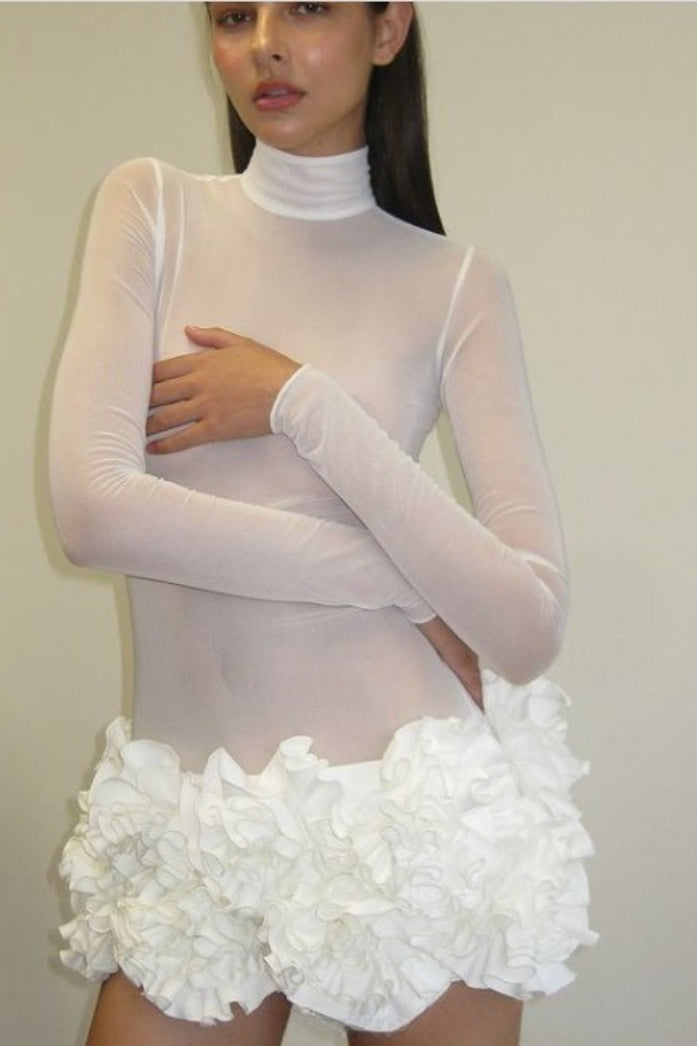 Sheer Mesh Mini Dress