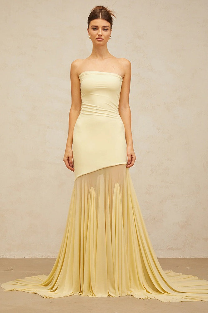 Sheer Mesh Dress