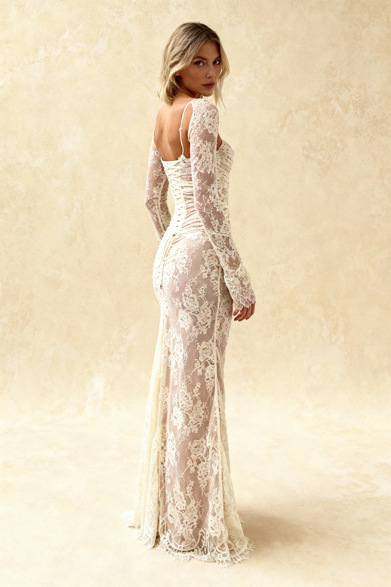 Elegant Lace Mesh Long Sleeve Lace Dress