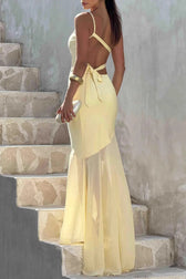 Backless Sheer Mesh Dress
