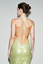 Stunning Sequin Dress
