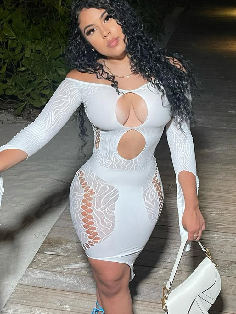 Off Shoulder Long Sleeve Cut Out Fishnet Panel Bodycon Mini Dress