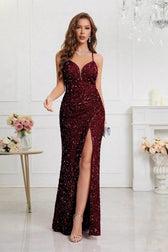 Sequin Dress