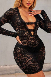 Lace Trim Sheer Long Sleeve Fit Mini Lace Dress