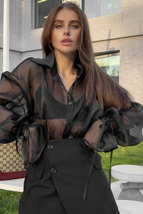 Sheer Puff Sleeve Collared Elegant Workwear Blouse