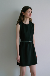 Sleeveless Cinched A Line Chic Work Dress