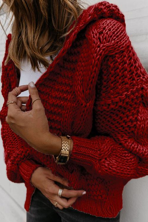 Knit Loose Hoodie Cardigan