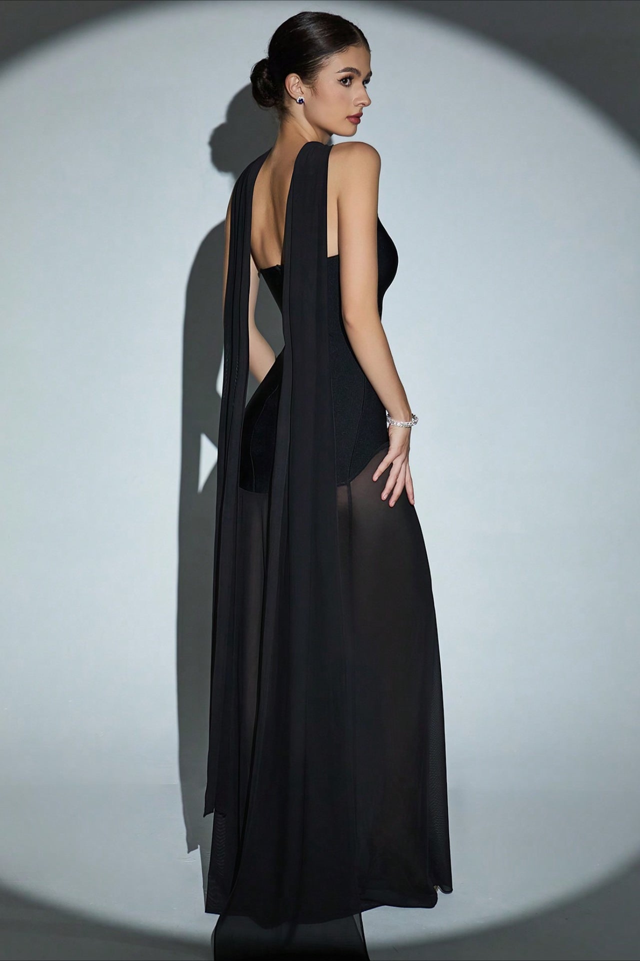 Sheer Mesh Dress