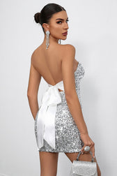 Bodycon Sequin Dress