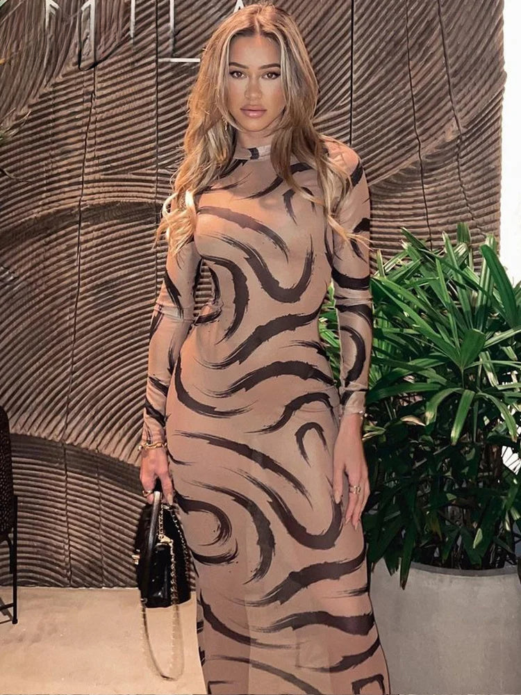 Mesh Long Sleeve See Through Midi Dress 3