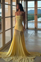 Sheer Mesh Dress